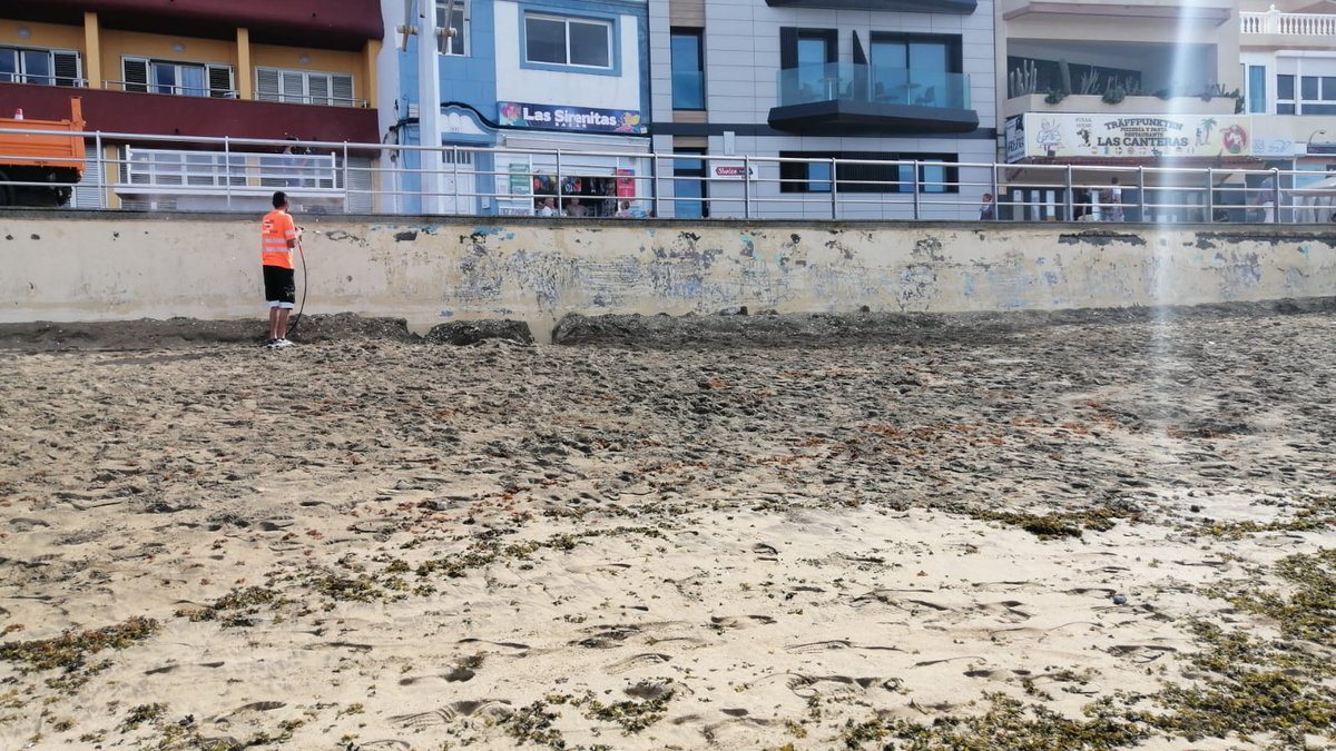 LasCanteras's tweet photo. Da pena ver cómo hacen las cosas, cómo se trata a la playa. Están pintando el muro; las imágenes muestran cómo está quedando la playa tras quitar la pintura vieja. Otra cosa: están pintando cuando más arena hay pegada al muro, dentro de tres meses estará solo medio muro pintado. https://t.co/9zrVBA6Ngs