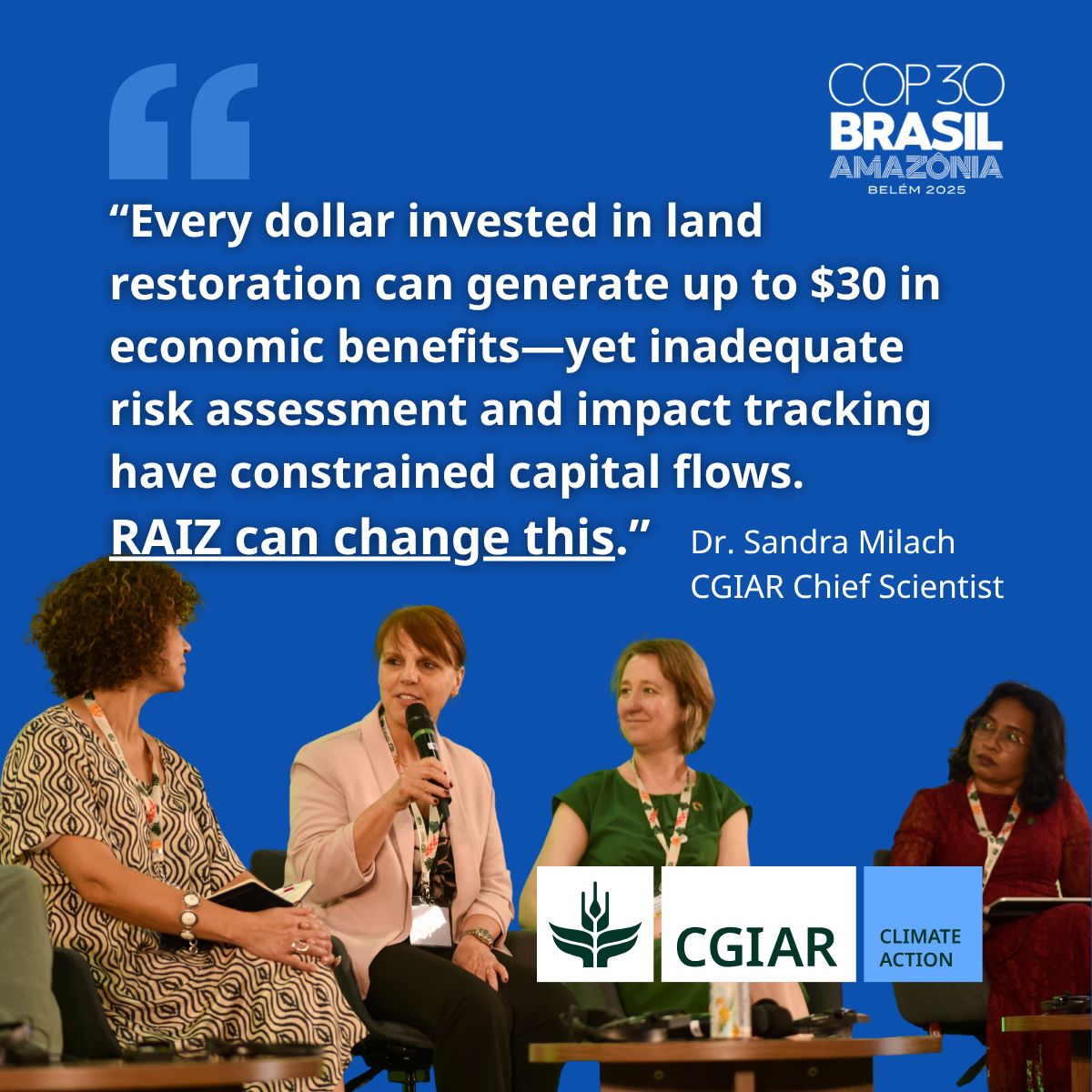 CGIARclimate's tweet image. HOT OFF THE PRESS 🌟 Eight countries back RAIZ - the 🇧🇷 Brazil-led finance accelerator to scale farmland restoration worldwide 🌟 

@CGIAR Chief Scientist Sandra Milach spoke at the ministerial launch at #COP30 in Belém 🇧🇷 

🔗 on.cgiar.org/4o0OxhP
