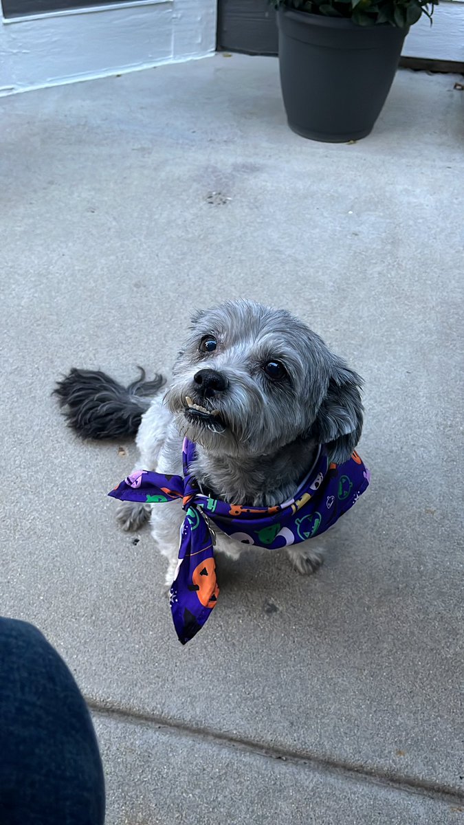 Vitkoff, go fuck your self