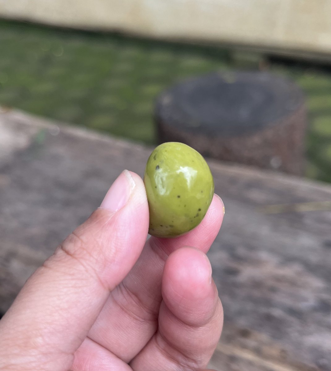 narakimm_'s tweet photo. penampakannya mirip mede, imutt tapi nagihin.. kayaknya harus stock banyak😭

🧷https://t.co/lvalkAOMzg￼ https://t.co/CaLp6bo32D