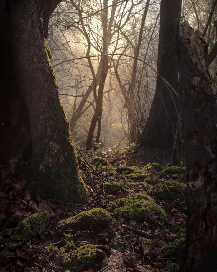 راستے میں اتنے کانٹے نہیں بچھانے چاہیئے کہ سامنے والا راستہ بدلنے پر مجبور ہو جاۓ۔

#PTI_Followers