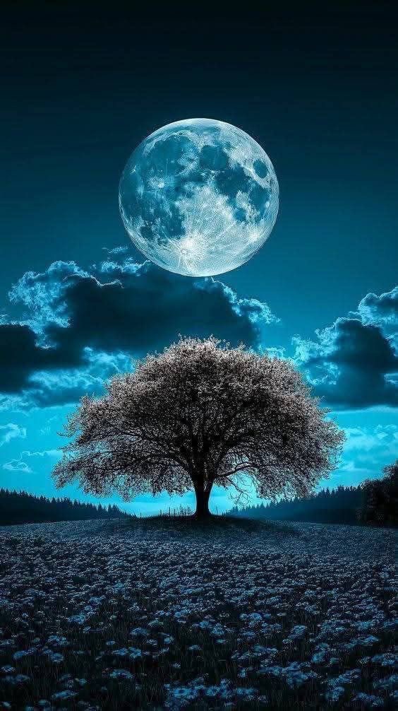 WallViews1's tweet image. New Wallpaper