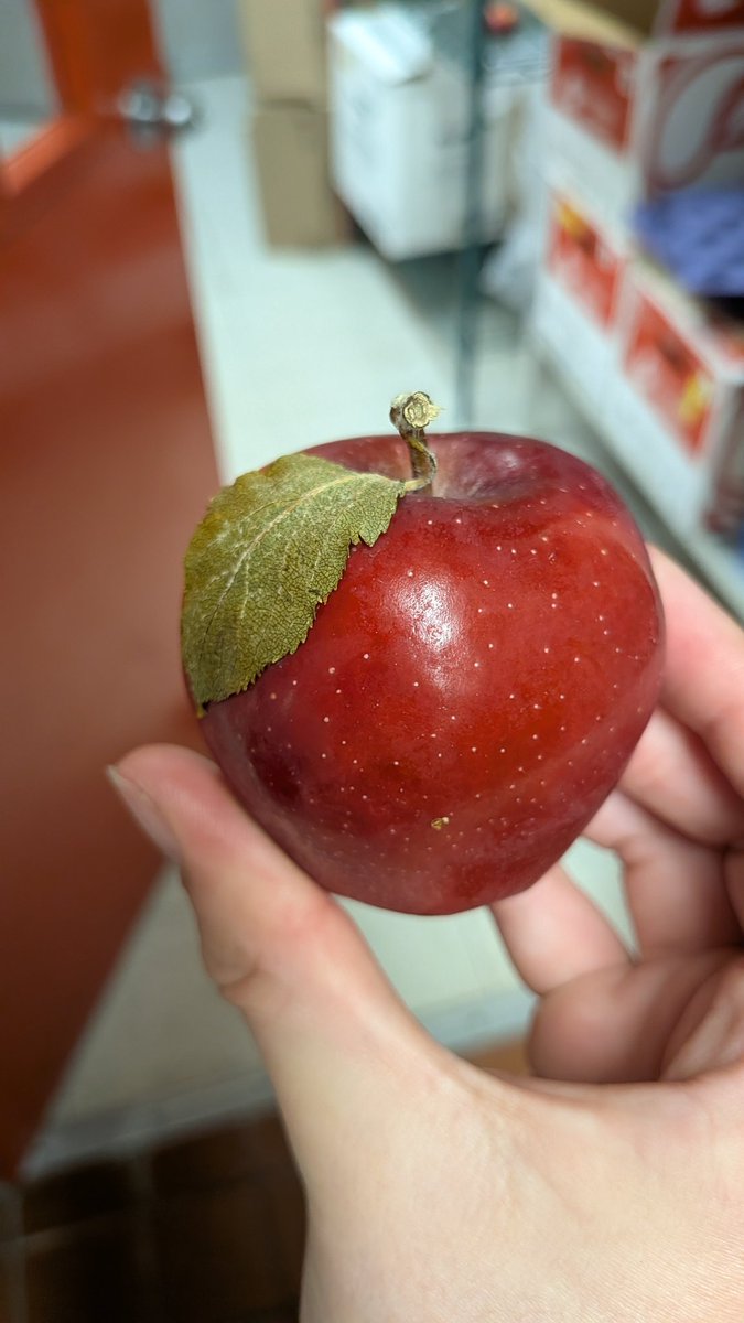 visimech's tweet image. I&apos;ve never seen a more apple looking apple