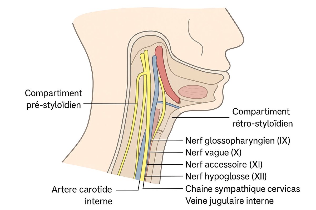 TopCao® tweet media