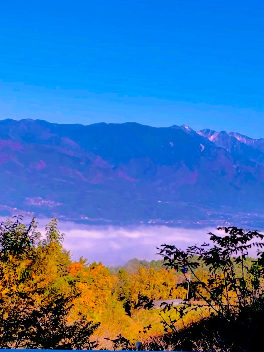 FreeSiteBase's tweet image. #1日1組限定  #プライベートキャンプ場 
第3BASE『 #とよおか 』

サイト入り口から下界を見渡すと雲海が
 
いらした際は
寝起きにチェックして見て下さい(๑•̀ •́)و✧

 #フリーサイトベース 
 #フリーサイトベースとよおか 
 #雲海