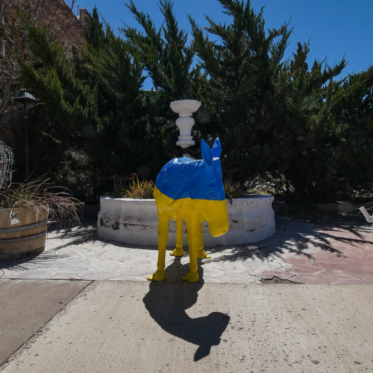 505Nomad's tweet image. Carrizozo is a railroad town in the Tularosa Basin. Founded in 1899, it became a key stop for Lincoln County, which fueled its growth in the early 1900s. &quot;Burro Serenade&quot; began in 2006. Local artists paint aluminum burro statues to fund local animal welfare organizations.