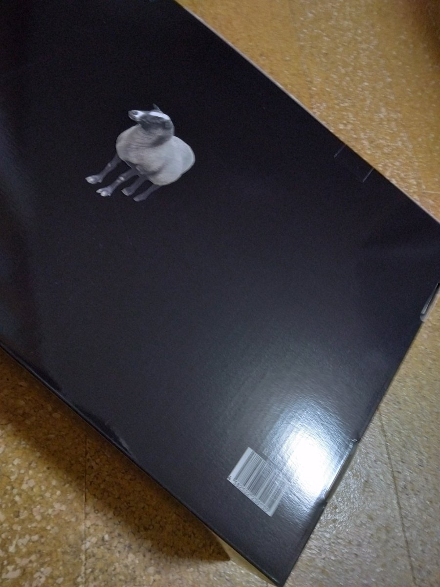 JY5AaPF7eU19170's tweet image. 千ちゃんがおすすめしてたから買ったヒツジのいらない枕
愛用してます　気持ちいいし、すぐ入眠できます💙🐑
ＣＭ起用お待ちしております

#KisMyFt2
#千賀健永　
#ヒツジのいらない枕