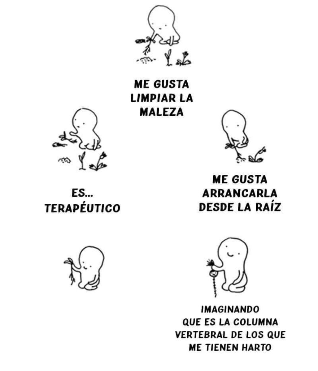 ymuchosmemes's tweet photo. https://t.co/J4pgYP5rxV