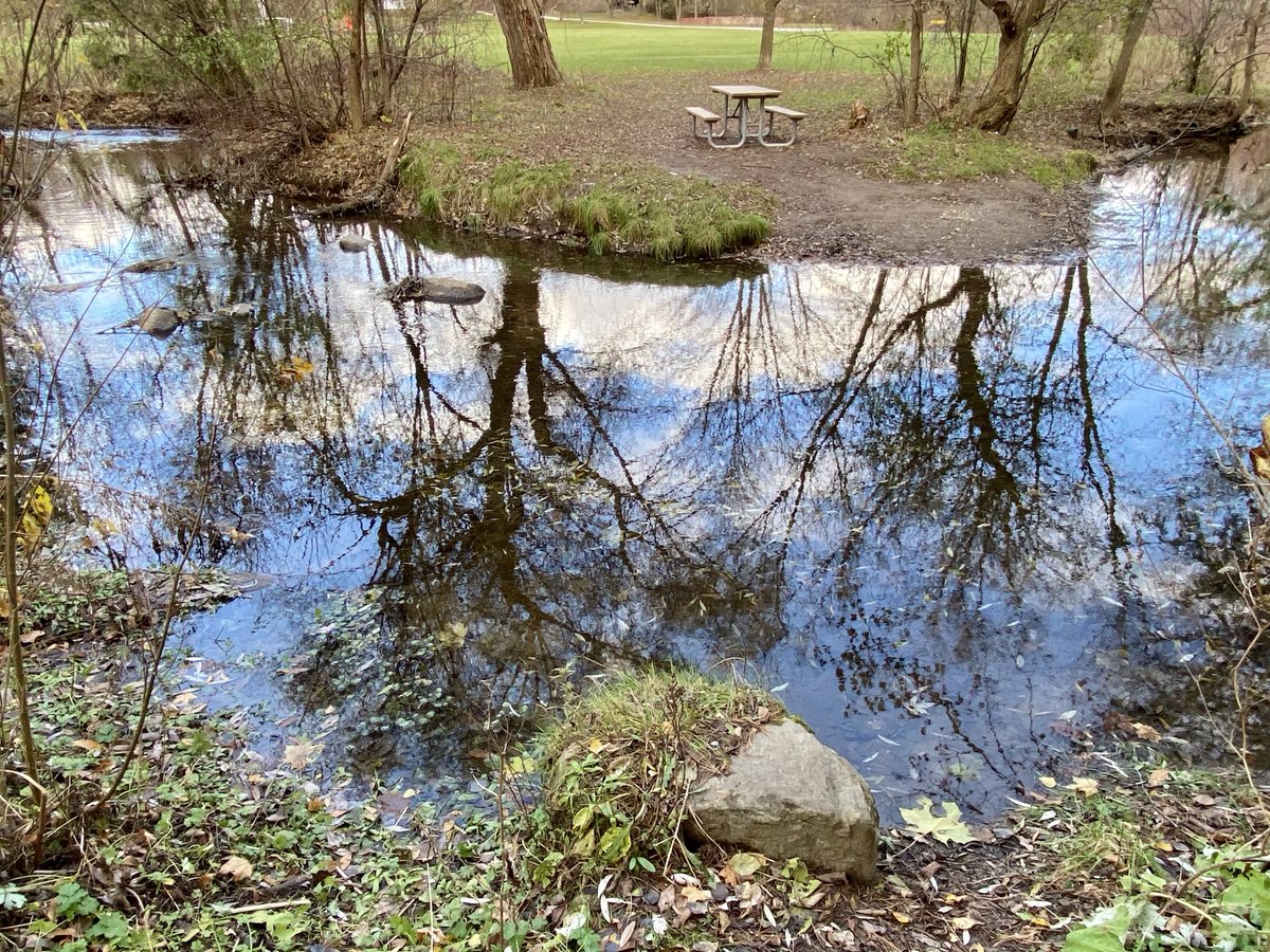 Good morning, happy Thursday 😊