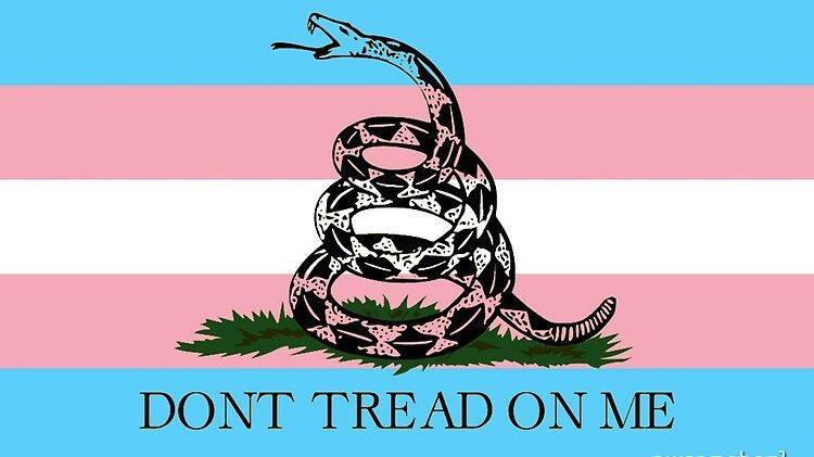 AlisaR68034's tweet image. WE DONT TREAD ON ANYONE