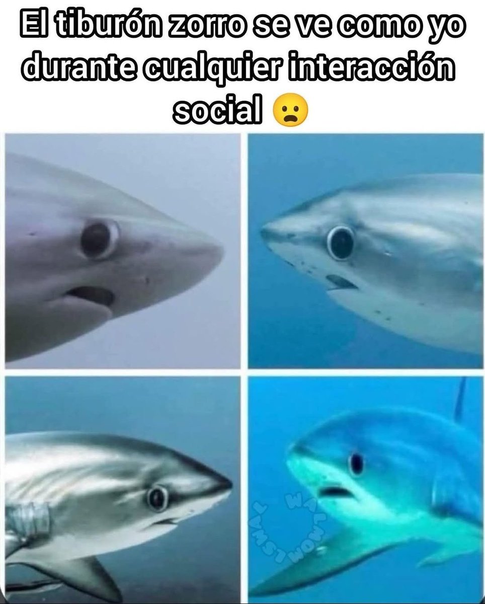 Ana_LaPatata (@ymuchosmemes) on Twitter photo 