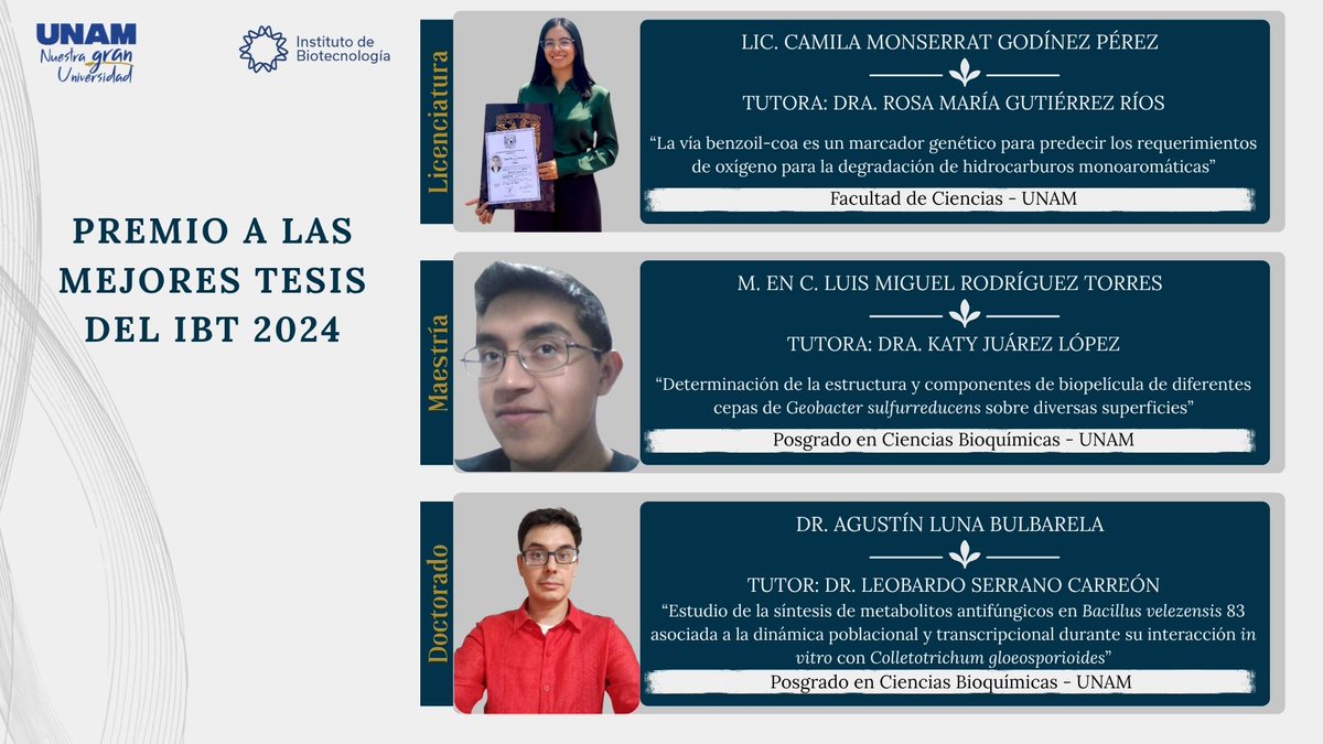 ibt_unam's tweet image. La Coordinación de Docencia del Instituto de Biotecnología informa los resultados del Premio a las Mejores Tesis 2024

Todas y todos #OrgulloUNAM #OrgulloIBt