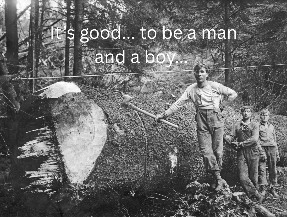 resisfertile's tweet image. &quot;Men today desperately need to hear this message:
There is no hint in the Bible that your aggressive instincts are a result of the fall.

You are not, in other words, a defective woman. Your desire to conquer and to subdue, to hewdown and to build up, to form and to shape, has…