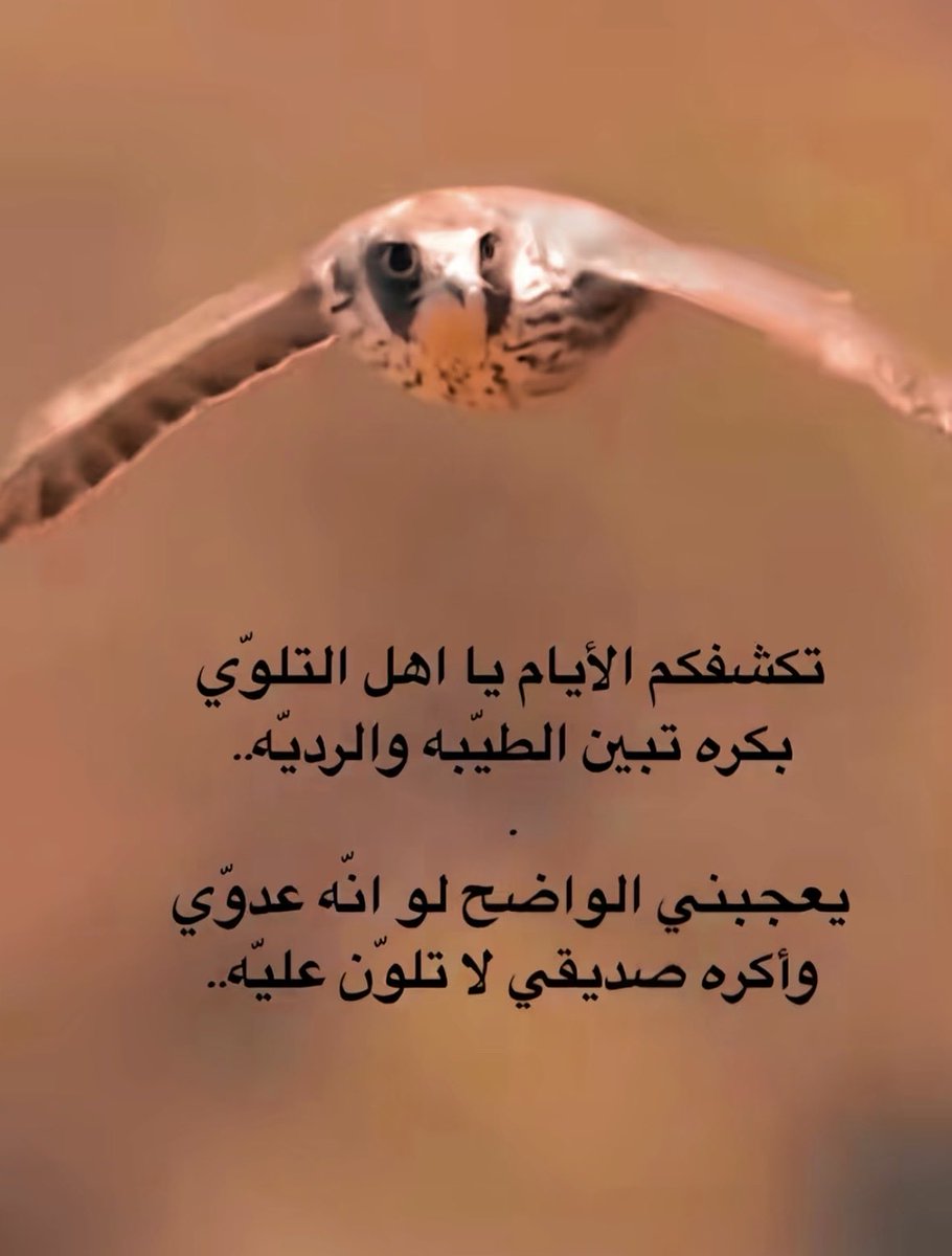 vip خاص نوادرالابل (@vib151515) on Twitter photo 