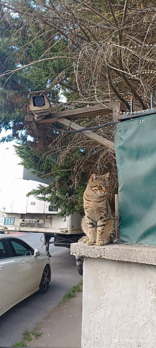 Çift güvenlik kamerası