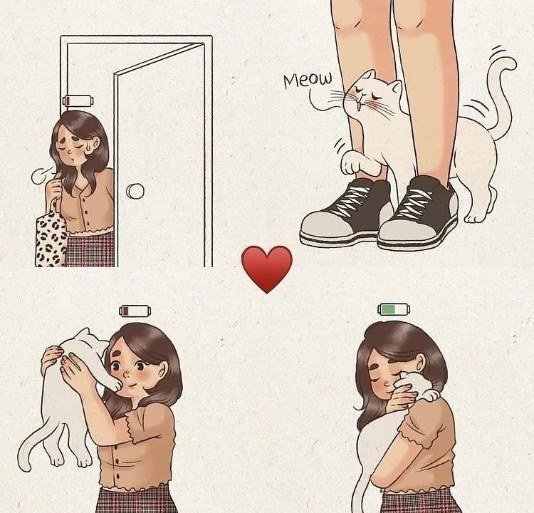 We don't deserve cats 😺 (@catsareblessing) on Twitter photo 