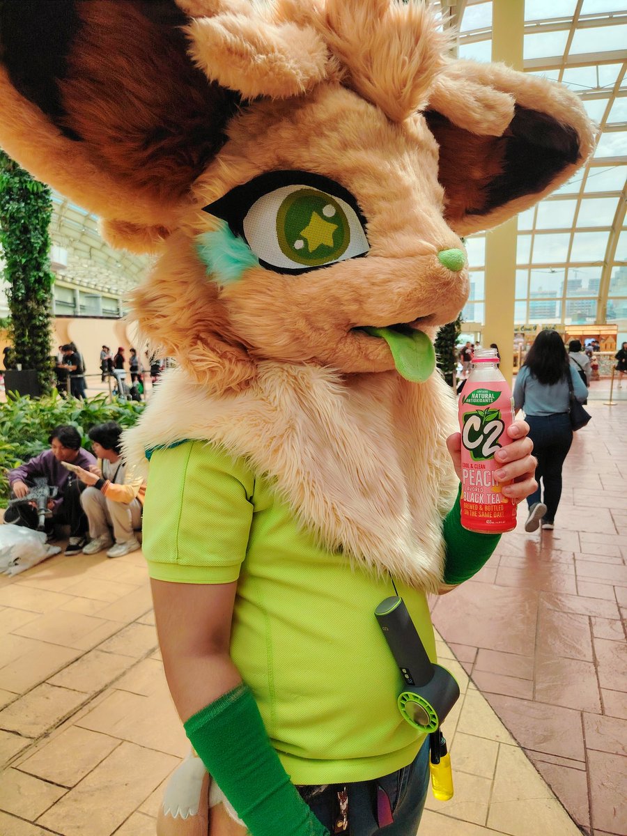 BeanyCutePaws's tweet photo. Is this how furries drink?
#BeanyCutePaws #Eevee #Furry #Fursuit https://t.co/HSGla7ldzH