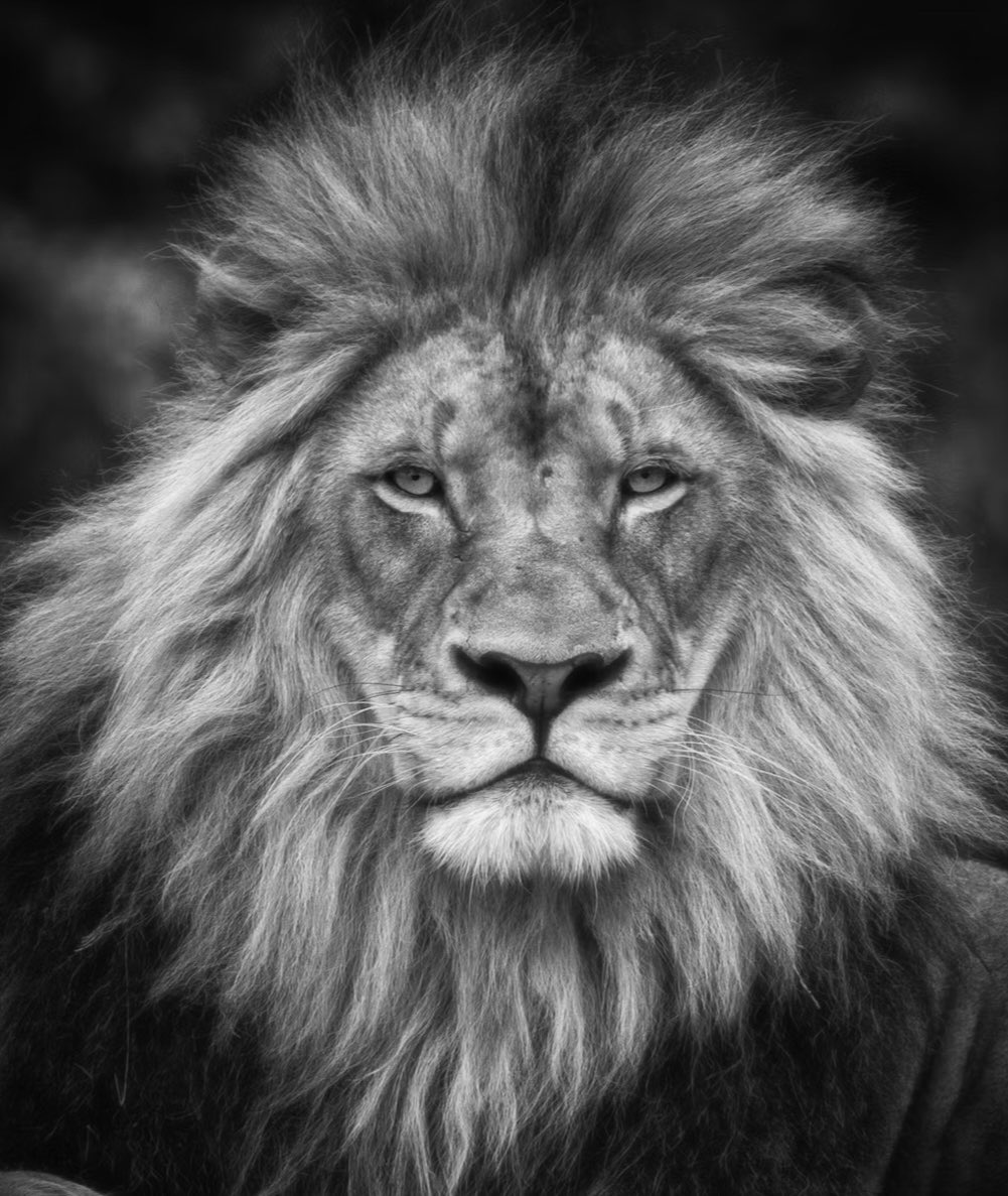 “What they hate in you is what they lack in themselves.”

Sometimes the criticism you receive has nothing to do with your character, and everything to do with someone else’s insecurities. Keep showing up. Keep leading. Keep growing.