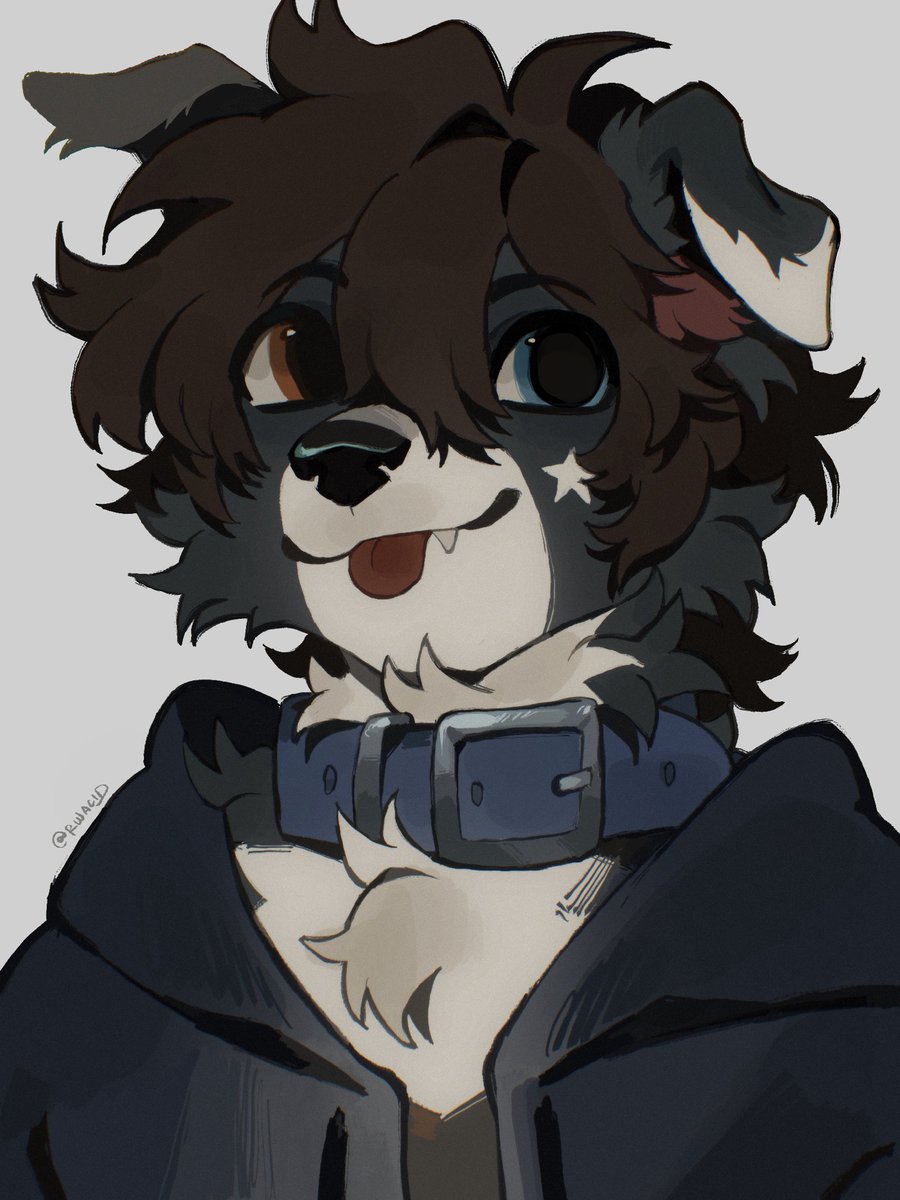 ✦ 𝗩𝗘𝗡𝗡 tweet media