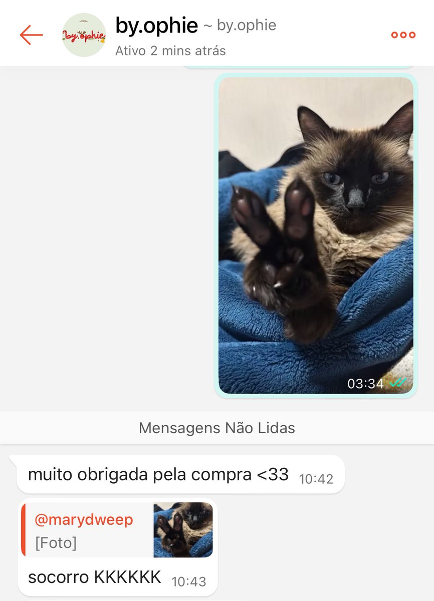 cityhaunts13's tweet image. a menina riu do photocard que eu quero fazer ?