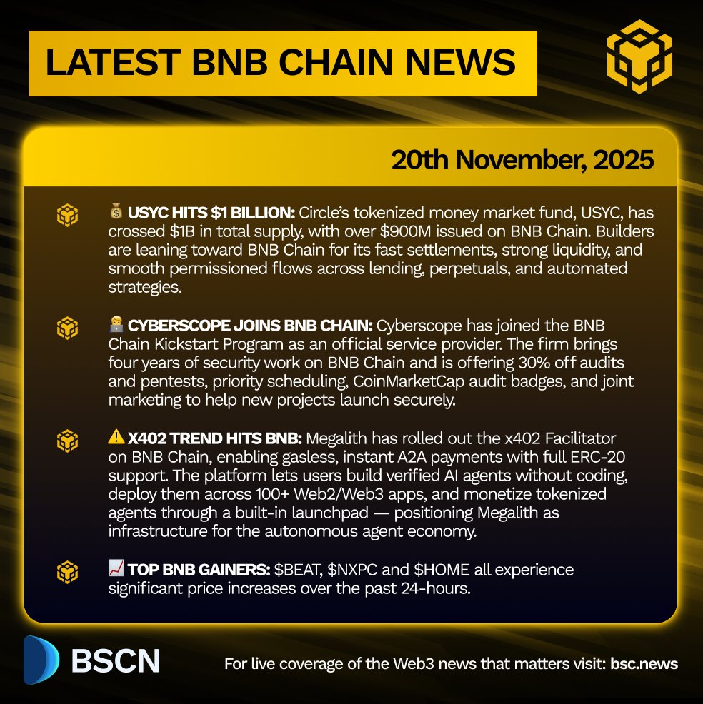 2025년 11월 20일 최신 BNB Chain 소식 인포그래픽