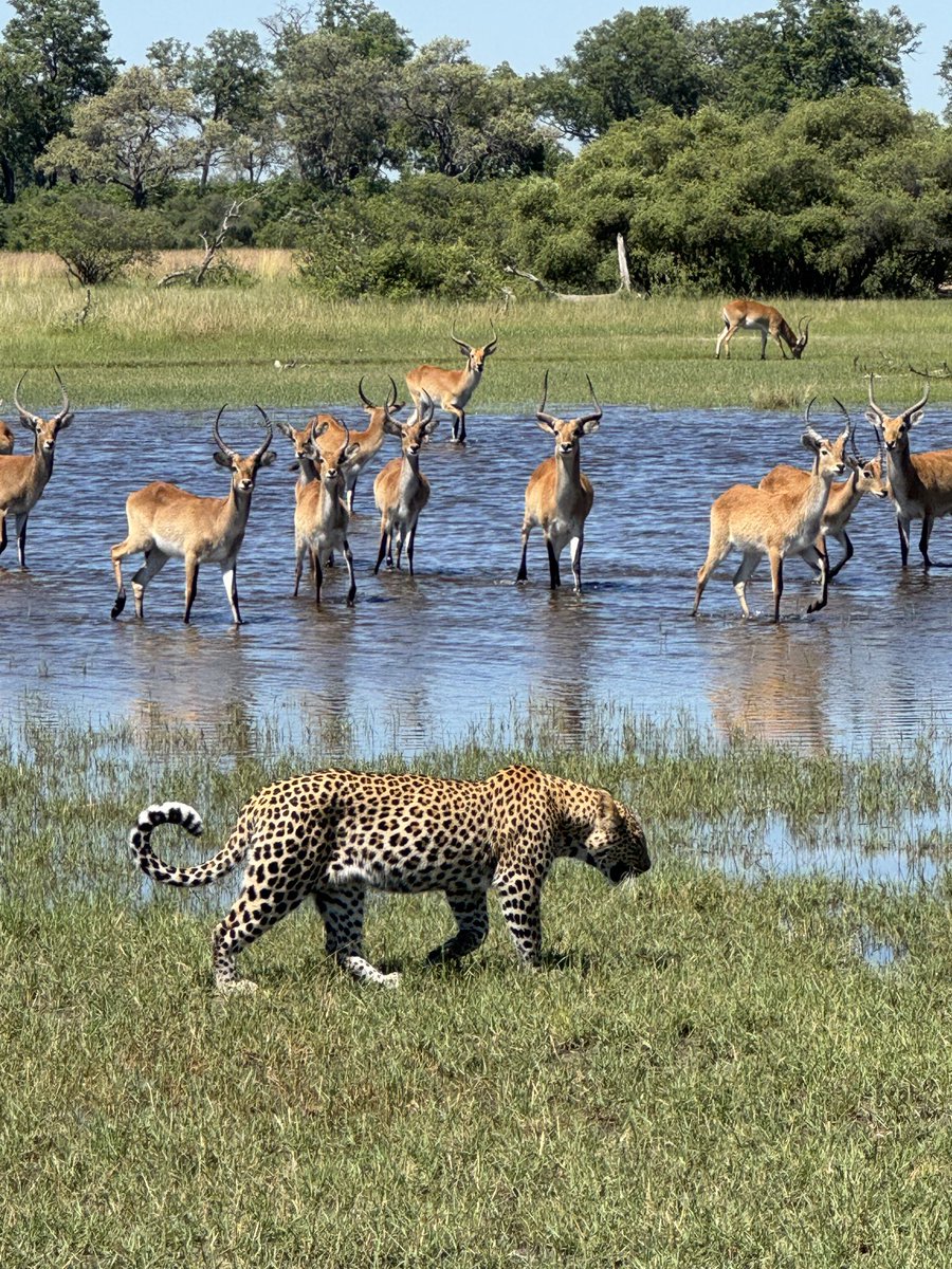 Annie Jacobsen tweet media