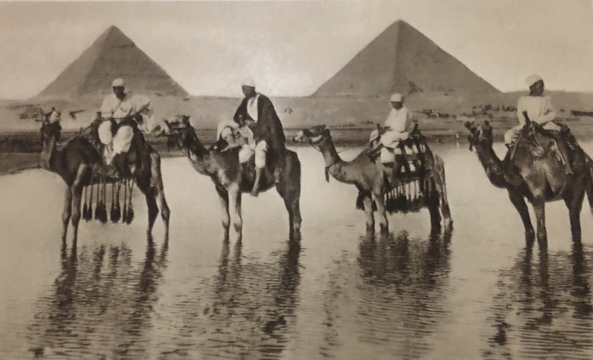 daftrkhana's tweet photo. هل البدو فقط كانوا ملاك الإبل في مصر ؟ 
أم أن الفلاحين أيضا كان لديهم إبل ؟ و متى تملك الفلاحين الإبل ؟ و من أين كانت تأتيهم ؟ و هل كانوا يستخدمونها في الزراعة فقط أم في السفر و نقل البضائع أيضا ؟ https://t.co/jjqVret6pO