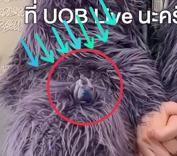 kirapi_pi's tweet image. もふもふかわいいな〜って見てたら、ん？なんかおる？
探してみたらこれ？
鳩ーーー？！！
#佐藤健