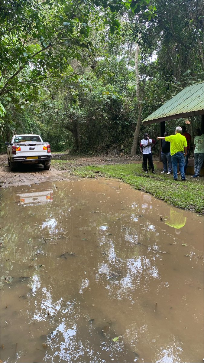 ford_uganda_'s tweet image. who came near.
We continue walking the road next to the field, with the strength of always.

#FordUG #FordRanger #Oncourse #4x4