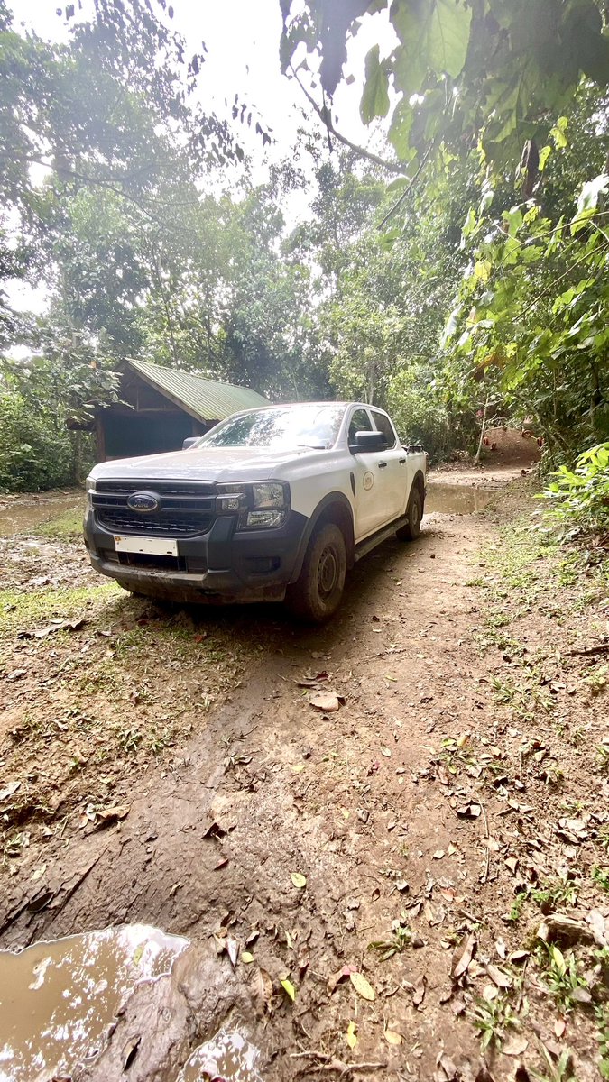 ford_uganda_'s tweet image. who came near.
We continue walking the road next to the field, with the strength of always.

#FordUG #FordRanger #Oncourse #4x4