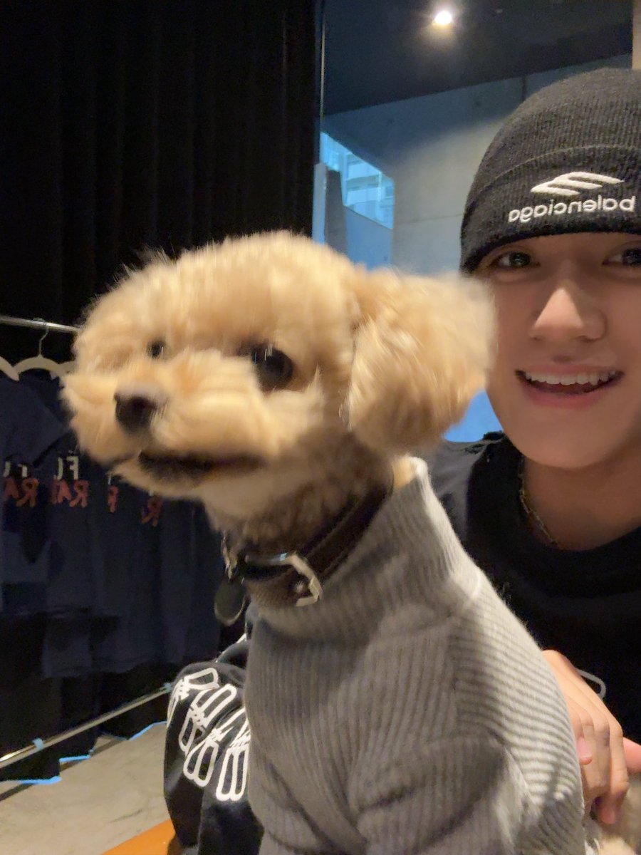 今日の俺 with わんちゃん🐶

突如スタジオに、株式会社ironowa
さんのわんちゃんがやってきました🥺🫶🏻

癒されて、疲れがふっとびました！☺︎

#AOI