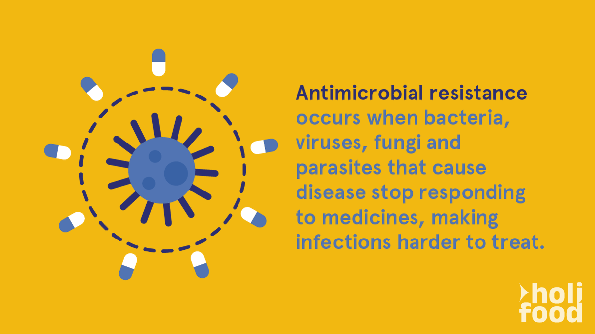 SciFoodHealth's tweet photo. #AMR Week returns with its mission: building awareness of #AntimicrobialResistance and sharing best practices.
Discover the #HOLiFOODproject response
β© https://t.co/Cz4aJV8P8h
β© https://t.co/DHHyQKXMWY https://t.co/0AwTCJEd18