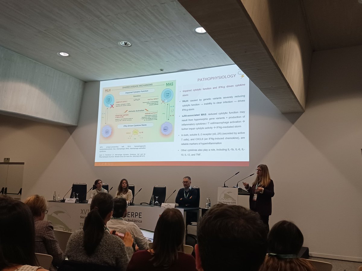 SERPE_ReuPed's tweet photo. Sesión conjunta SRRP y SERPE: LA Dra. Mariana Rodrigues, del Centro Hospitalar Universitario de Oporto, nos habla sobre SAM #serpe2025 https://t.co/nmx7WpVuIS
