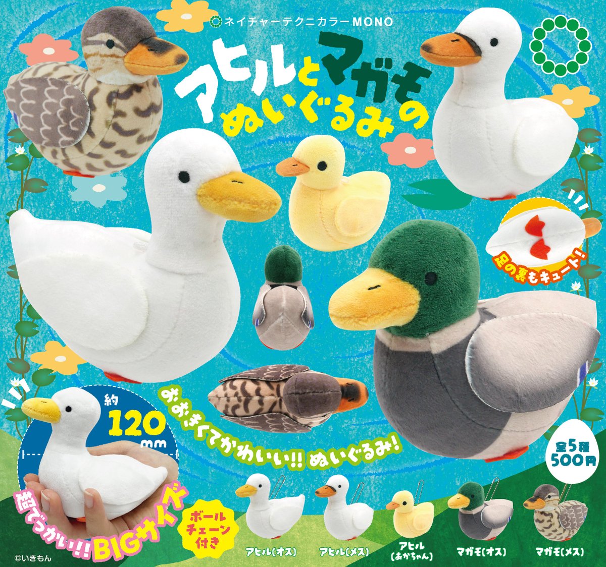 NTC_ikimon's tweet image. \📢新商品のご紹介 / 
NTC MONO「アヒルとマガモのぬいぐるみ」が本日より順次発売開始となりました！
※お探しの方へ：販売店舗の詳細についてはこの後のポストも併せてご覧ください

ラインナップは
アヒル（オス）
アヒル（メス）
アヒル（あかちゃん）
マガモ（オス）
マガモ（メス）…