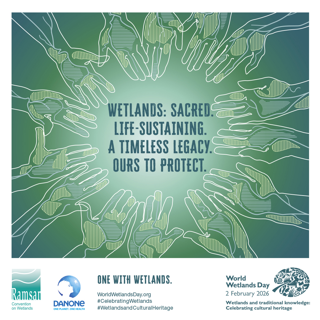 RamsarConv's tweet image. Information materials to support outreach activities for #WorldWetlandsDay on 2 February 2026 are now available to download.

Next year’s campaign centres on the theme &quot;Wetlands and traditional knowledge: Celebrating cultural heritage.&quot;

➡️ worldwetlandsday.org