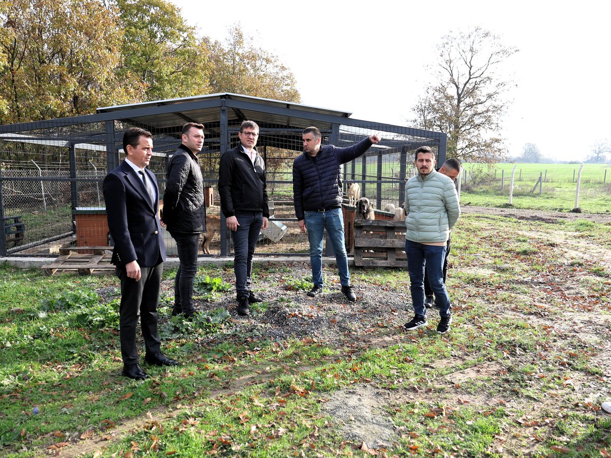 Ambardere’de Belediyemiz tarafından oluşturulan geçici Hayvan Bakım ve Rehabilitasyon Merkezimizde incelemelerde bulunduk.