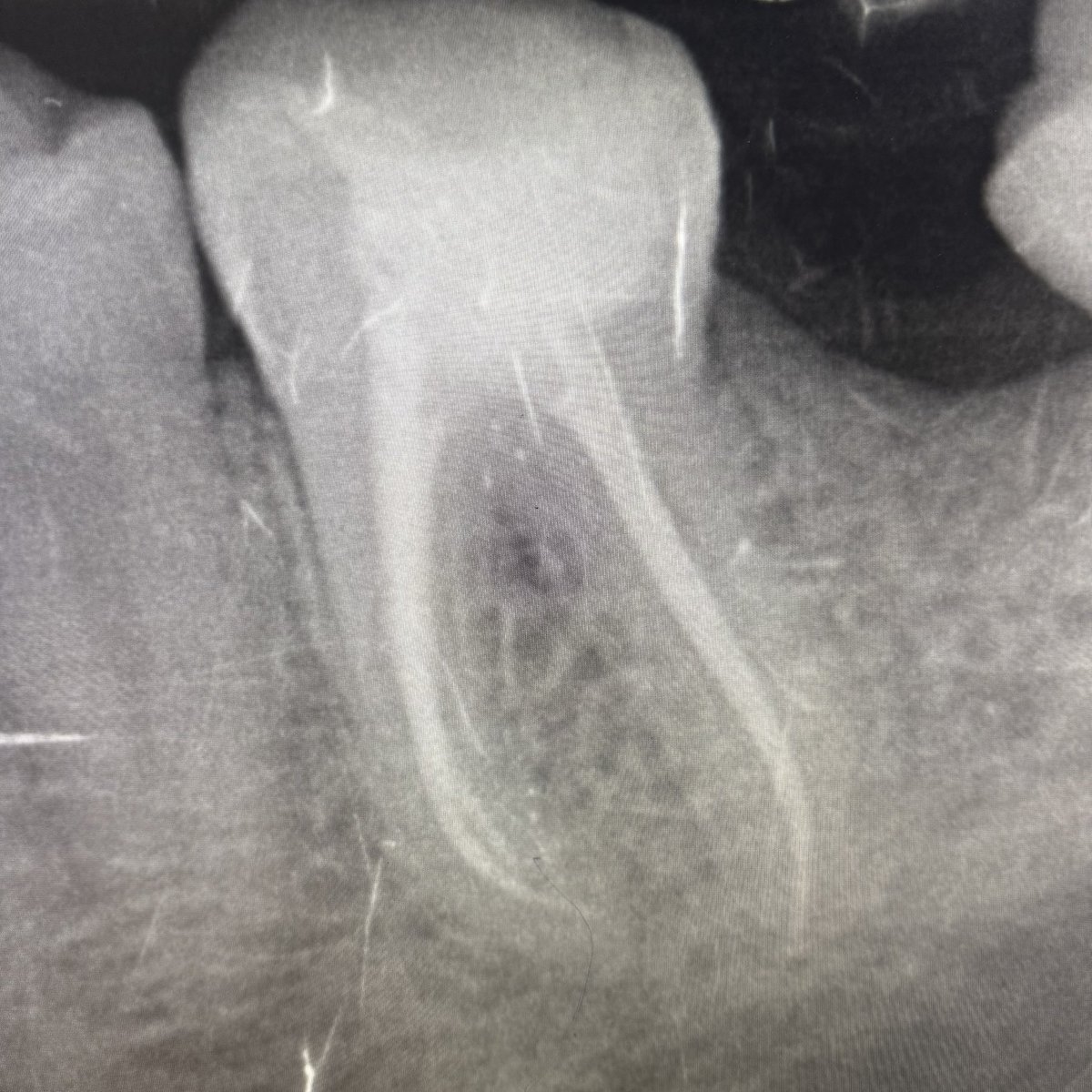 Abdulaziz Al-Habshan tweet media