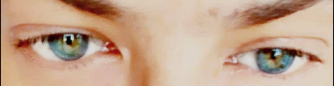 Spooki_59 (@python59p) on Twitter photo 