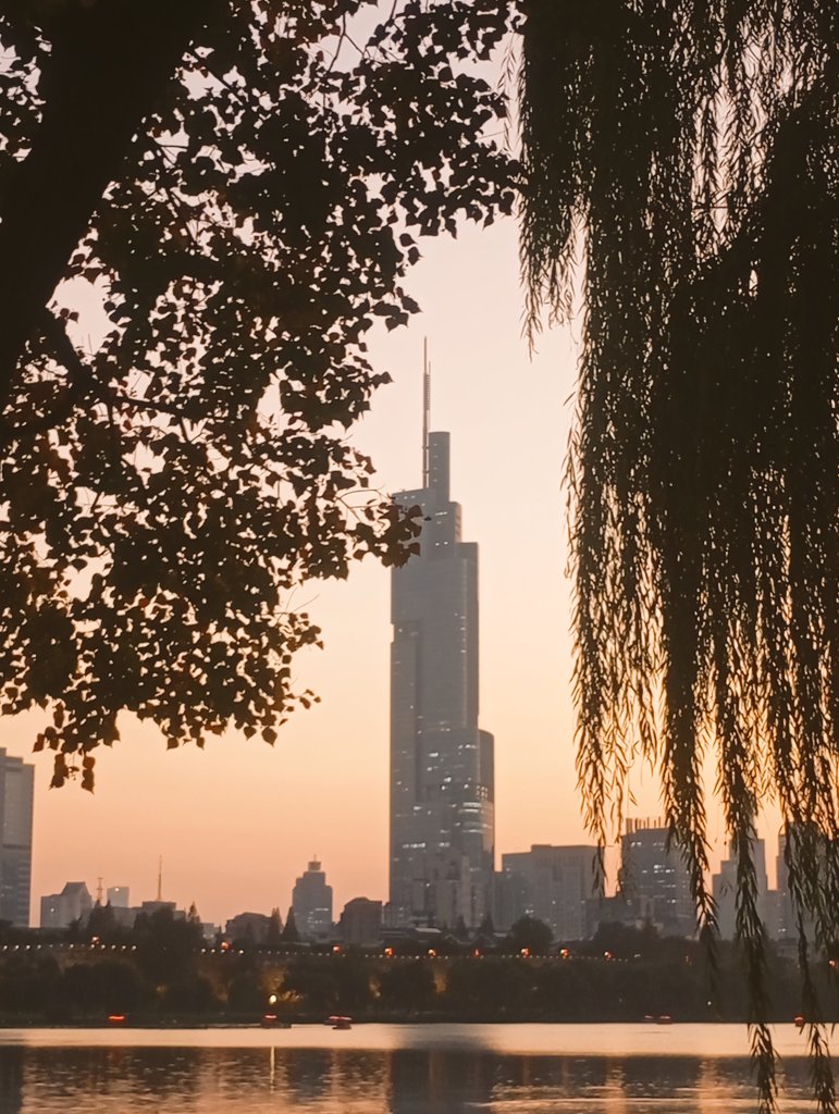 琪琪翠 tweet media