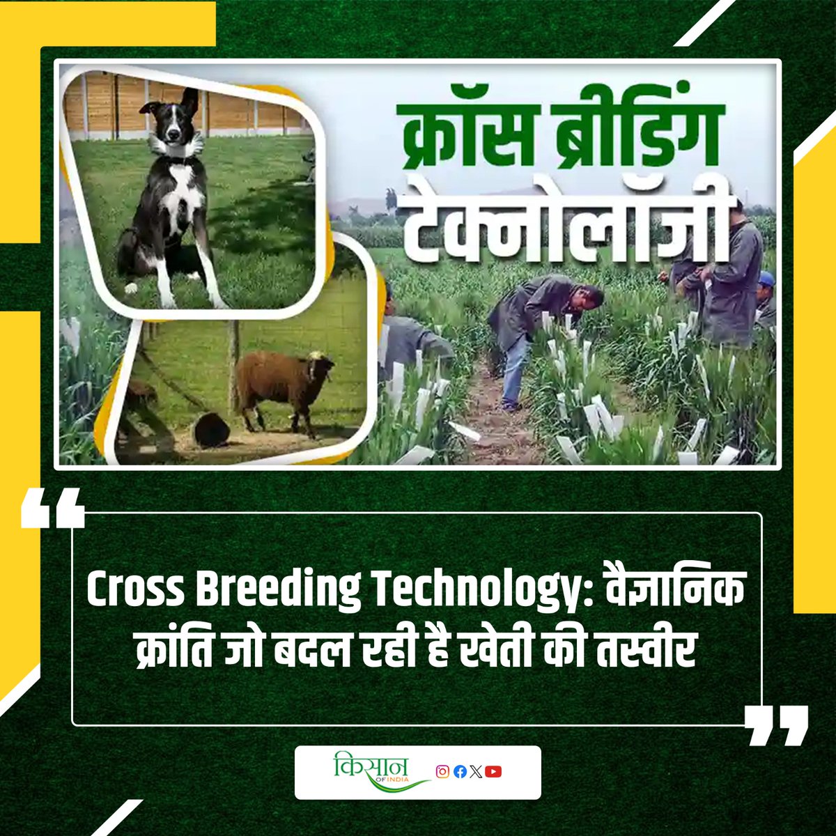 KisanofIndia's tweet photo. क्रॉस ब्रीडिंग से गायों में मिलेंगी बेहतर विशेषताएँ
https://t.co/7QcSc8Sygq
#kisanofindia #Agriculture #CrossBreeding #AnimalBreeding #LivestockDevelopment #GeneticImprovement #ModernAgriculture #ScientificFarming #PashupalanIndia #HybridBreeds https://t.co/zm8og1lBLB
