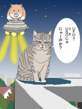#未知世界からのメッセージを17文字以内で表現する 
UFO?USOじゃにゃーのか?🛸 