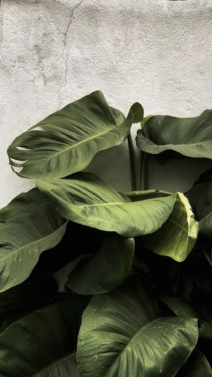 i accidentally ordered a detox juice and now i'm staring at it like it personally offended me. 🍵🥴