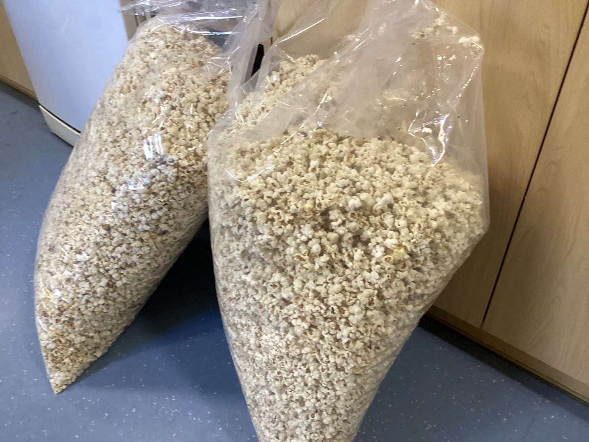 sissinghurstVA's tweet image. Prep for the panto - oh yes it is! 👏😂😂#foss #service