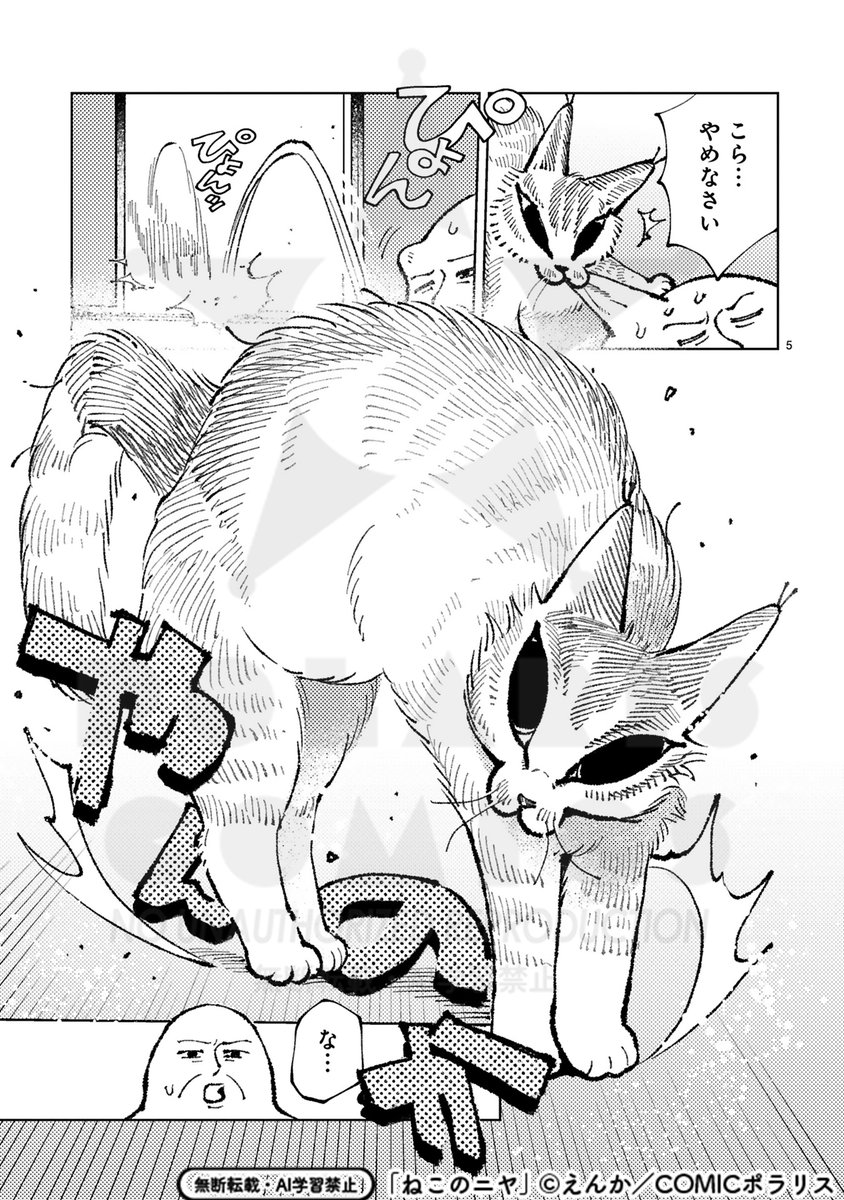 😺2/4 