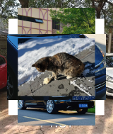 HaliskiJason's tweet image. 638992281152286543_71Суп рыба 🍅 Суп, готов638992281152286543_71