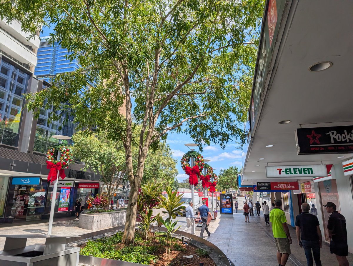 又到聖誕，市中心已開始佈置

其實聖誕節只是一天，但最喜歡是之前的一個月，到處很有氣氛，商場的裝飾，很多人買禮物，家裡也搞搞聖誕樹........