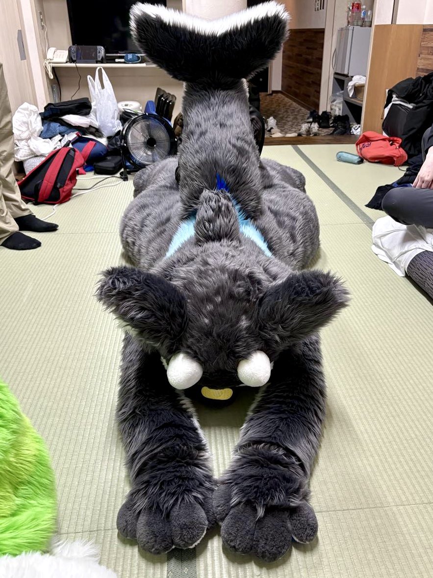 or_kemo's tweet image. 座礁