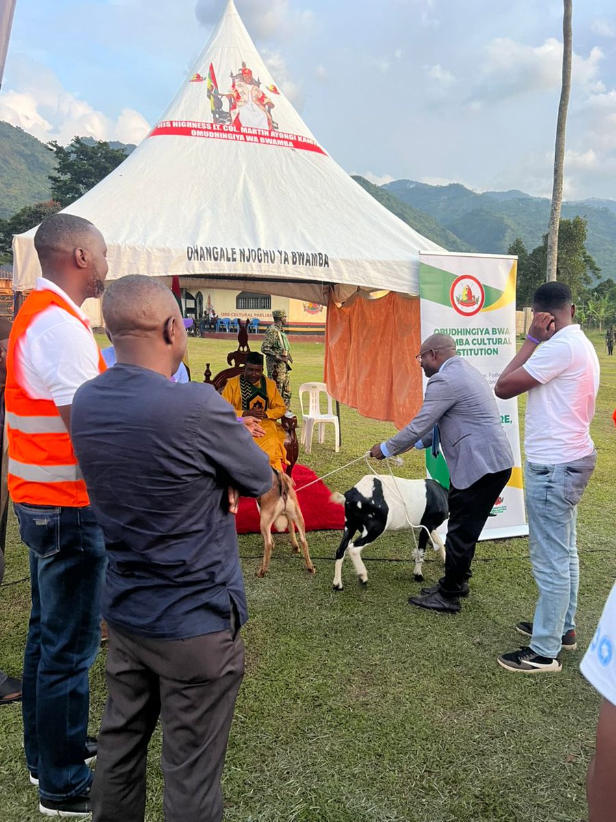 Agaba Michael (Kasheka) tweet media