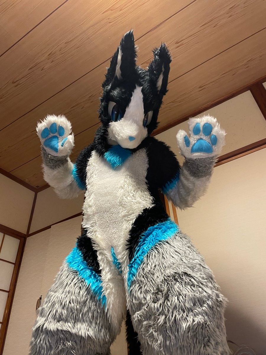 #FursuitFriday
#なみニスト