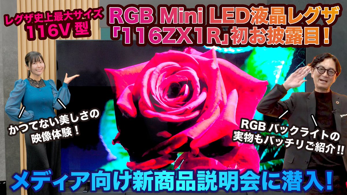 グレルりん レグザ、RGBミニLEDテレビ「ZX1」を12月発売。116型で約660万円 - AV Watch
